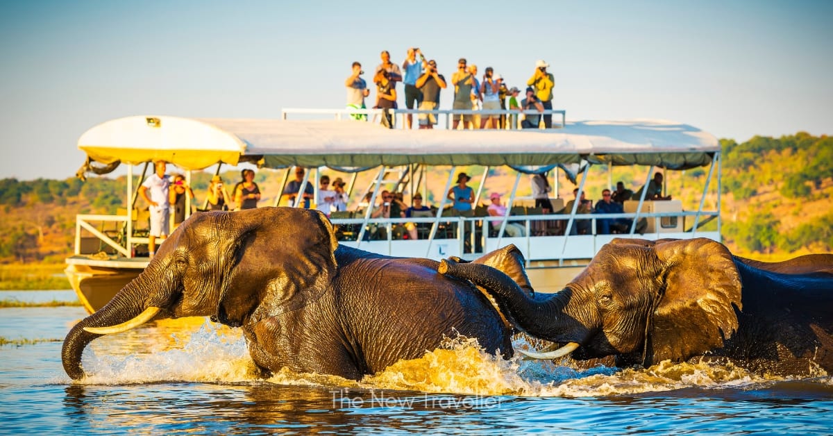 Botswana: A Wildlife Wonderland