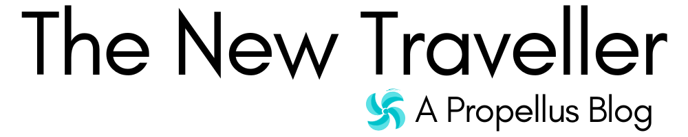 The New Traveller
