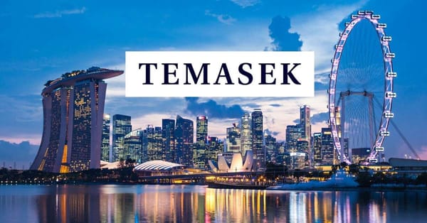 Temasek’s potential investment in VFS Global aims to streamline visa services
